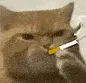 艾弗森算不算低效的得分手